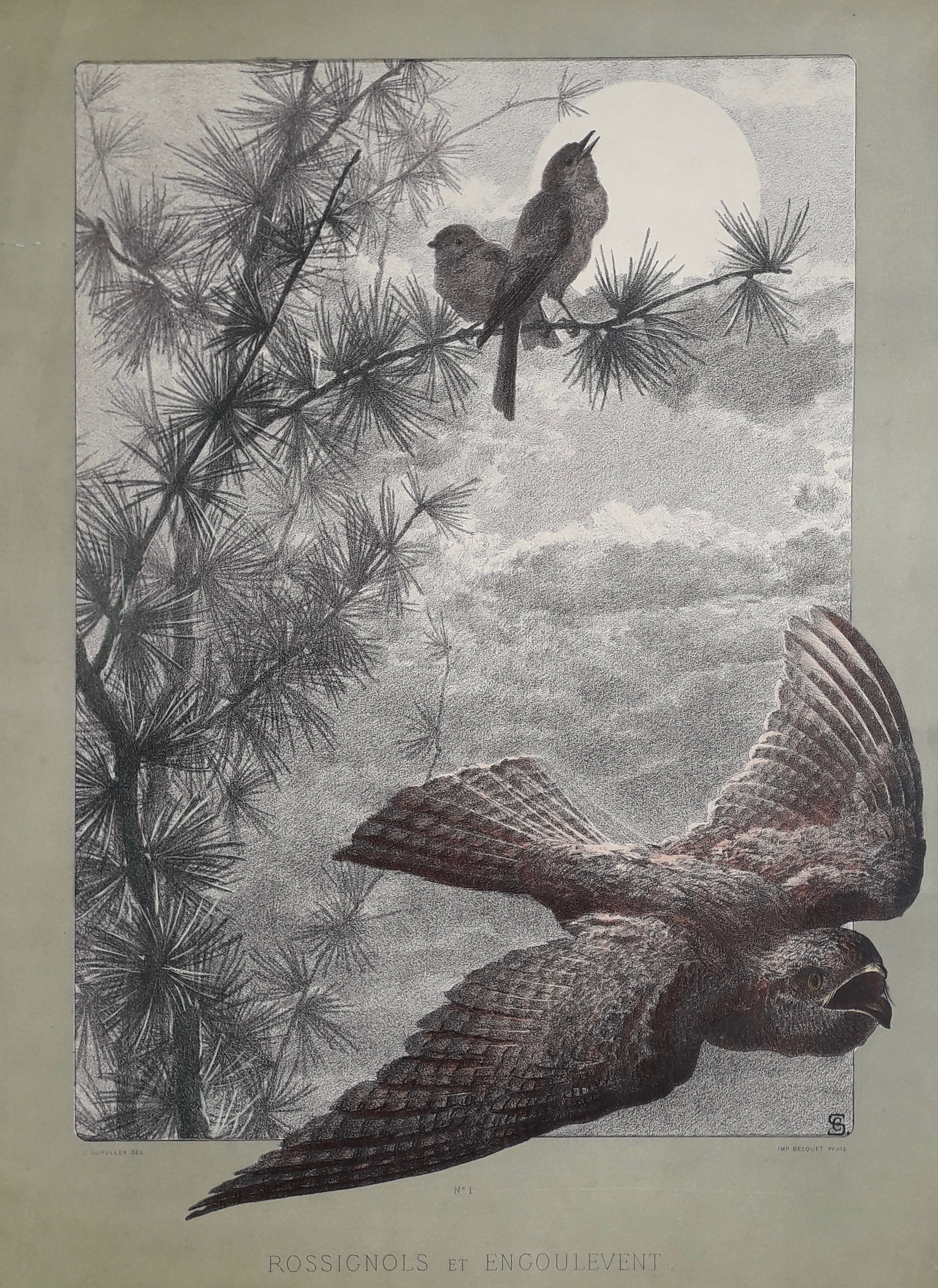 SCHULLER Joseph Carl Paul