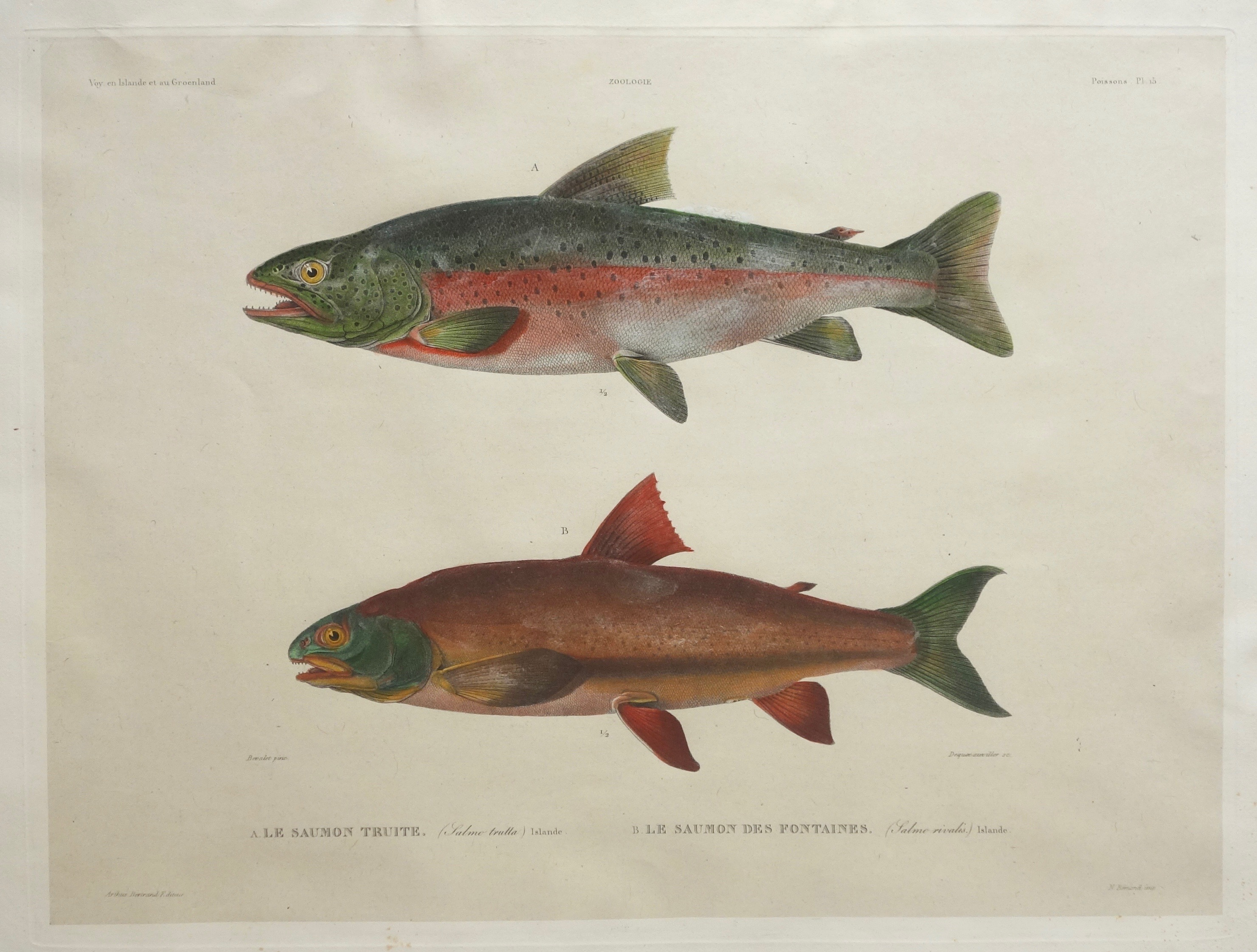 DEQUEVAUVILLER François