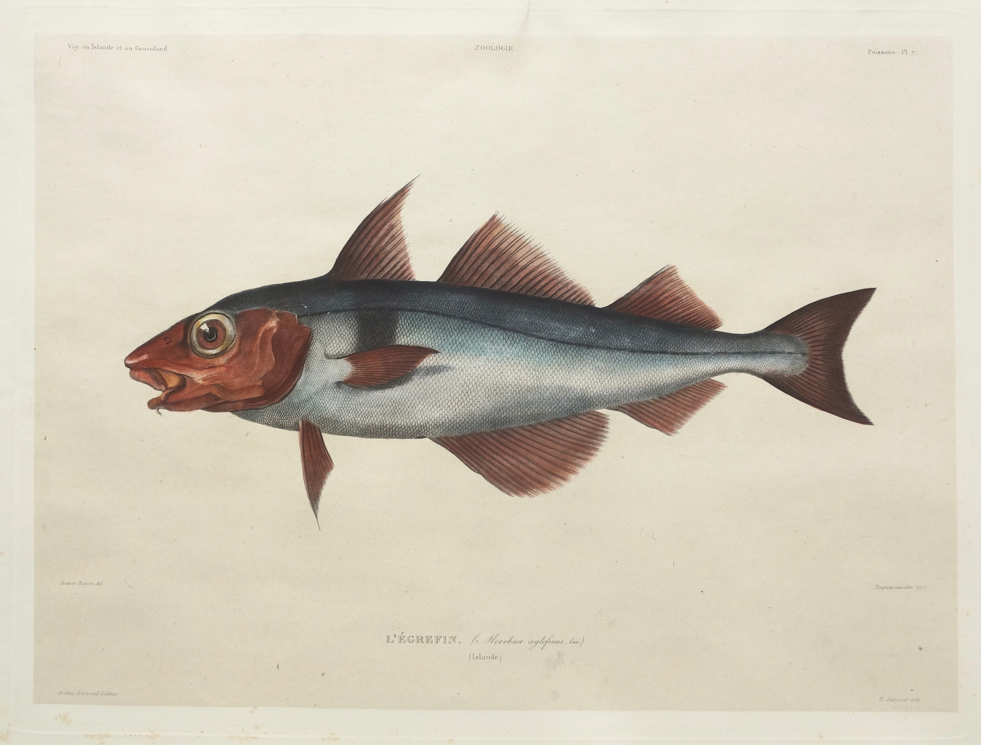 DEQUEVAUVILLER François