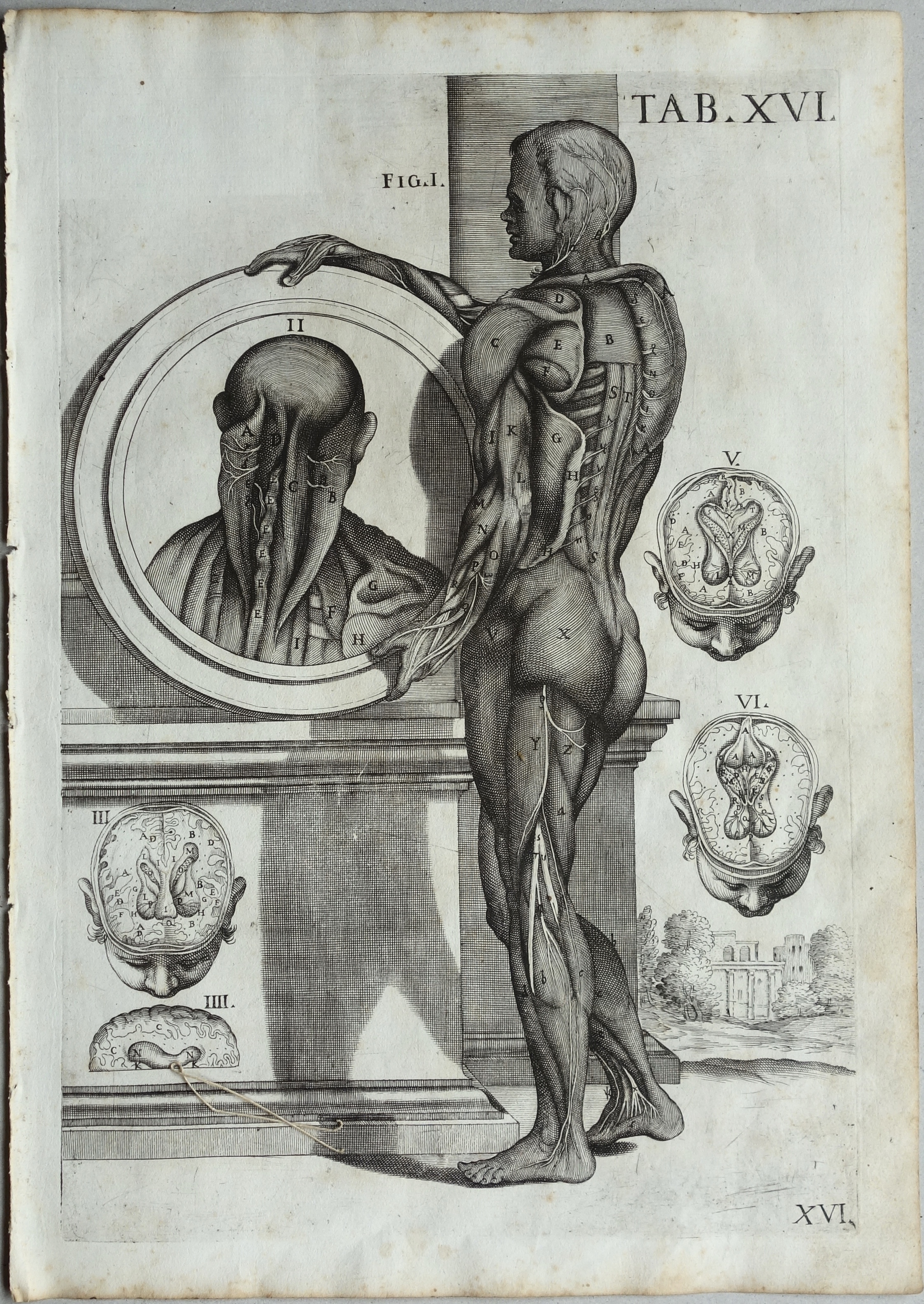 CORTONE Pierre de (d\'après)