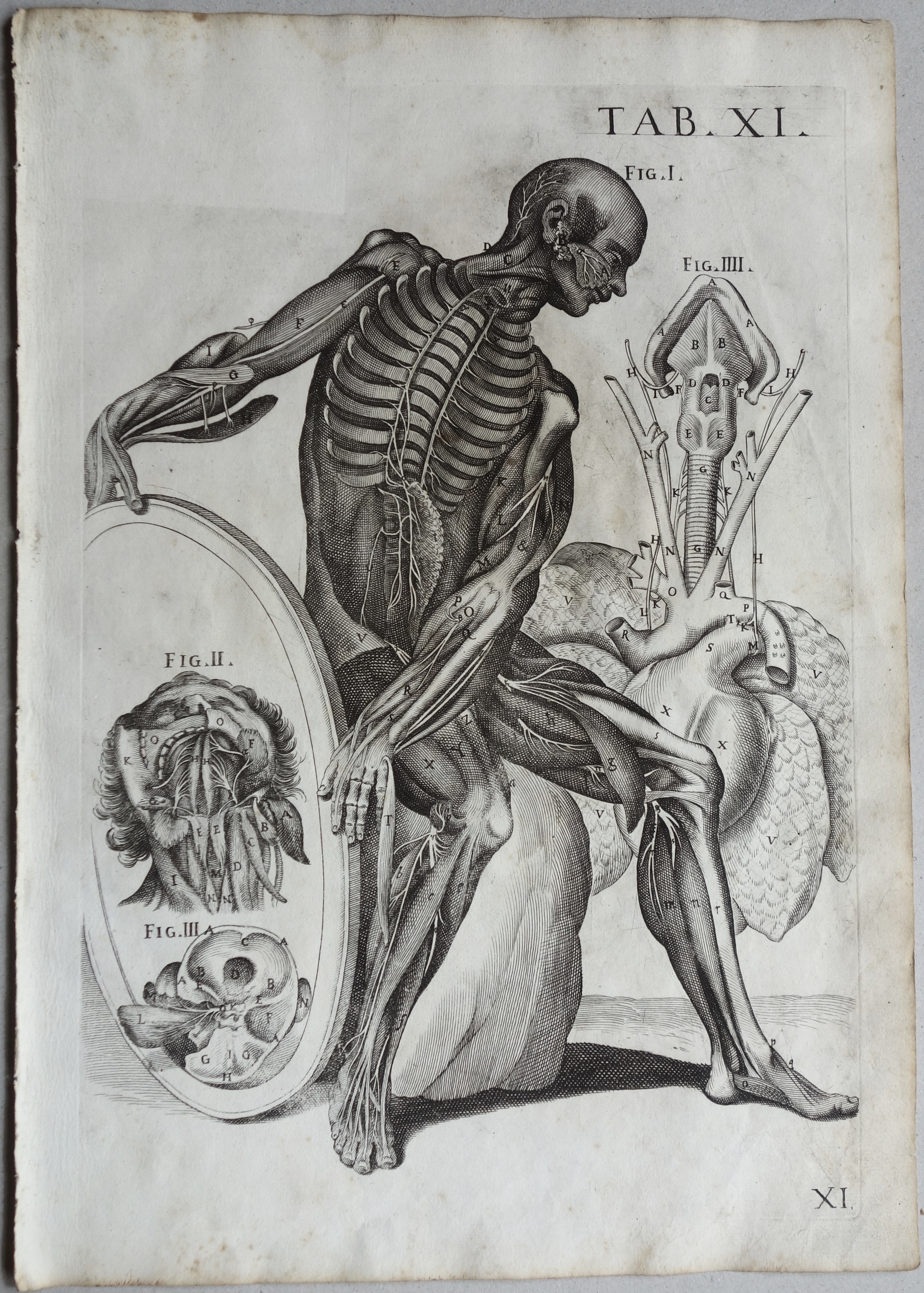 CORTONE Pierre de (d\'après)