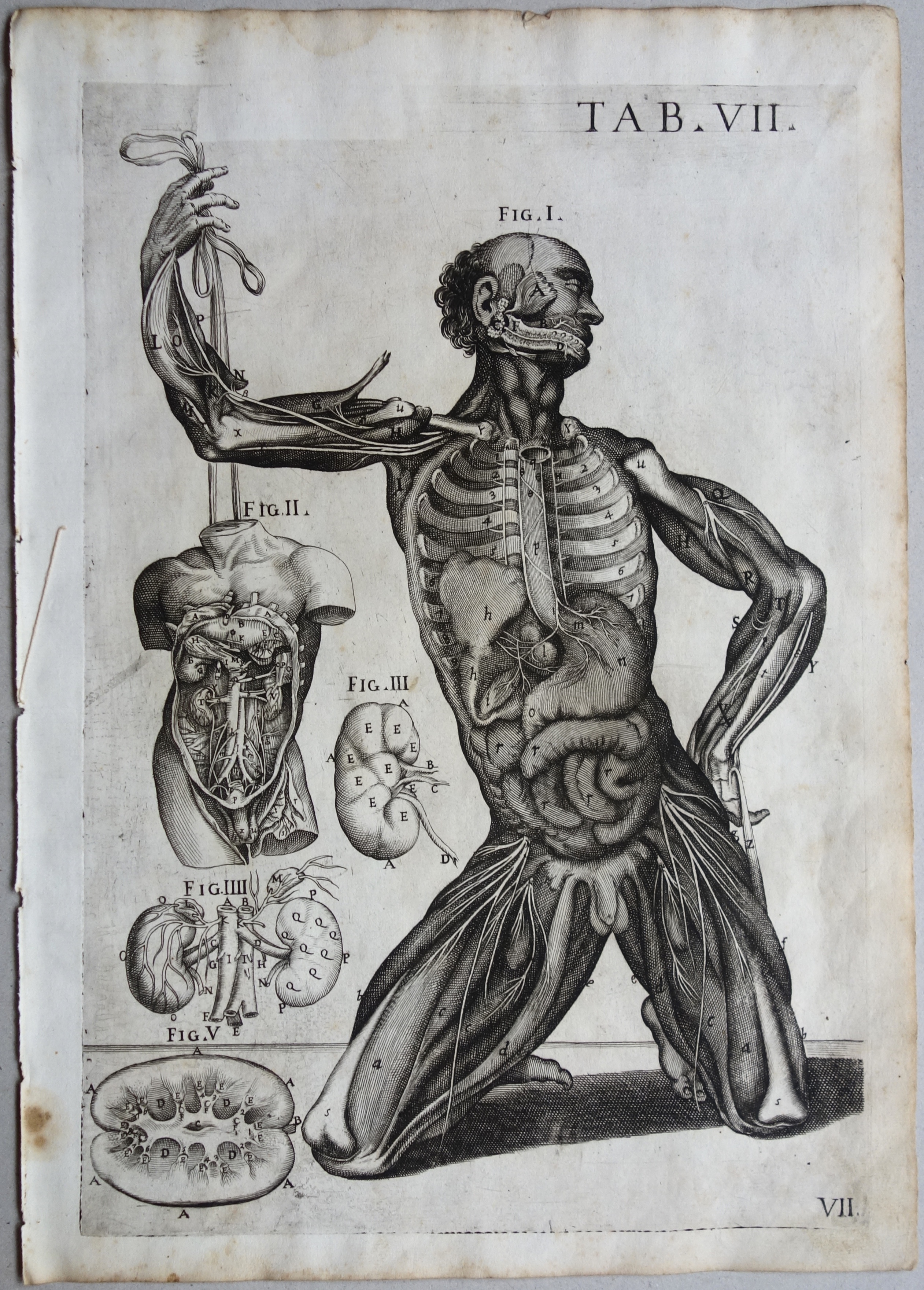 CORTONE Pierre de (d\'après)