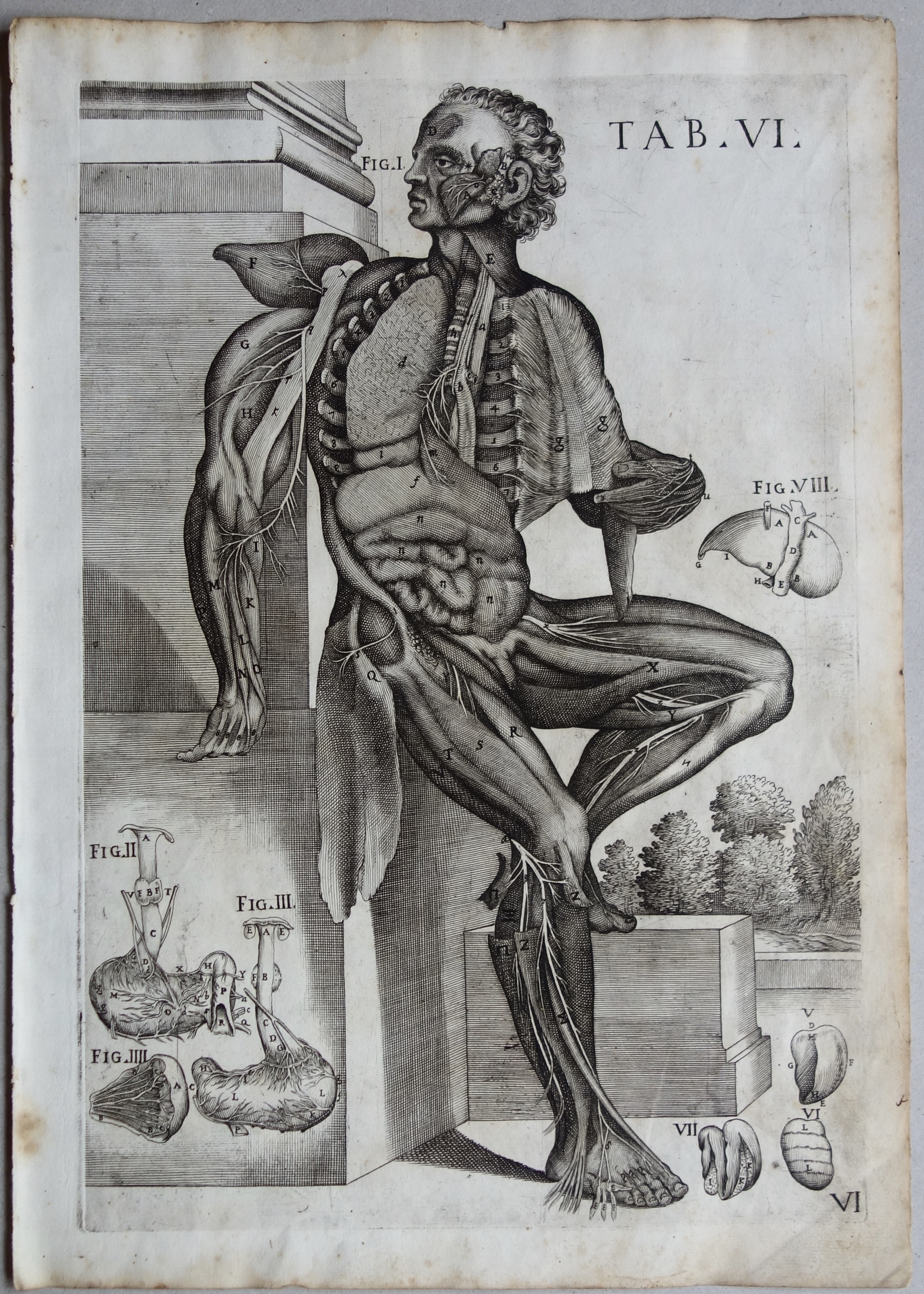 CORTONE Pierre de (d\'après)