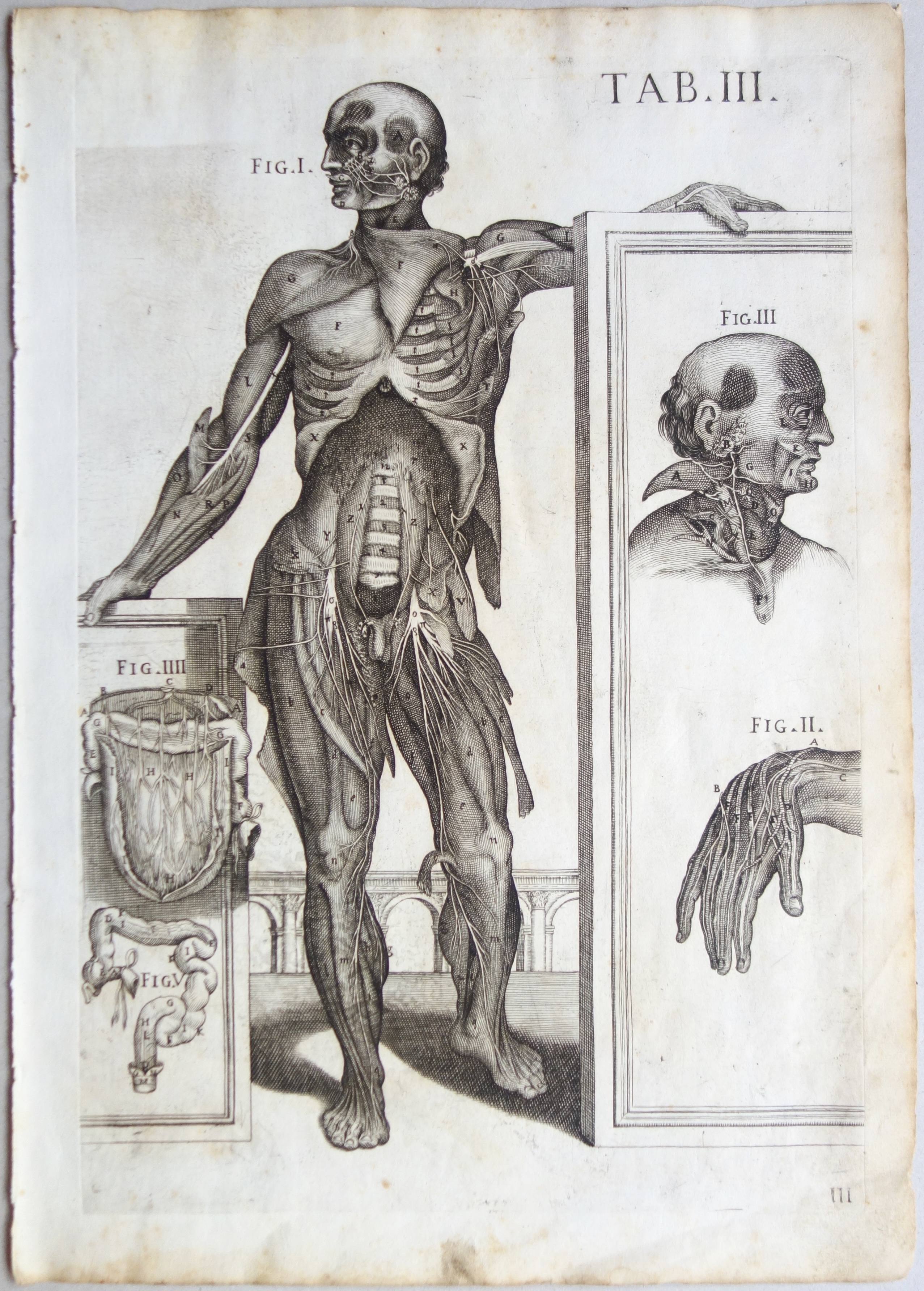 CORTONE Pierre de (d\'après)