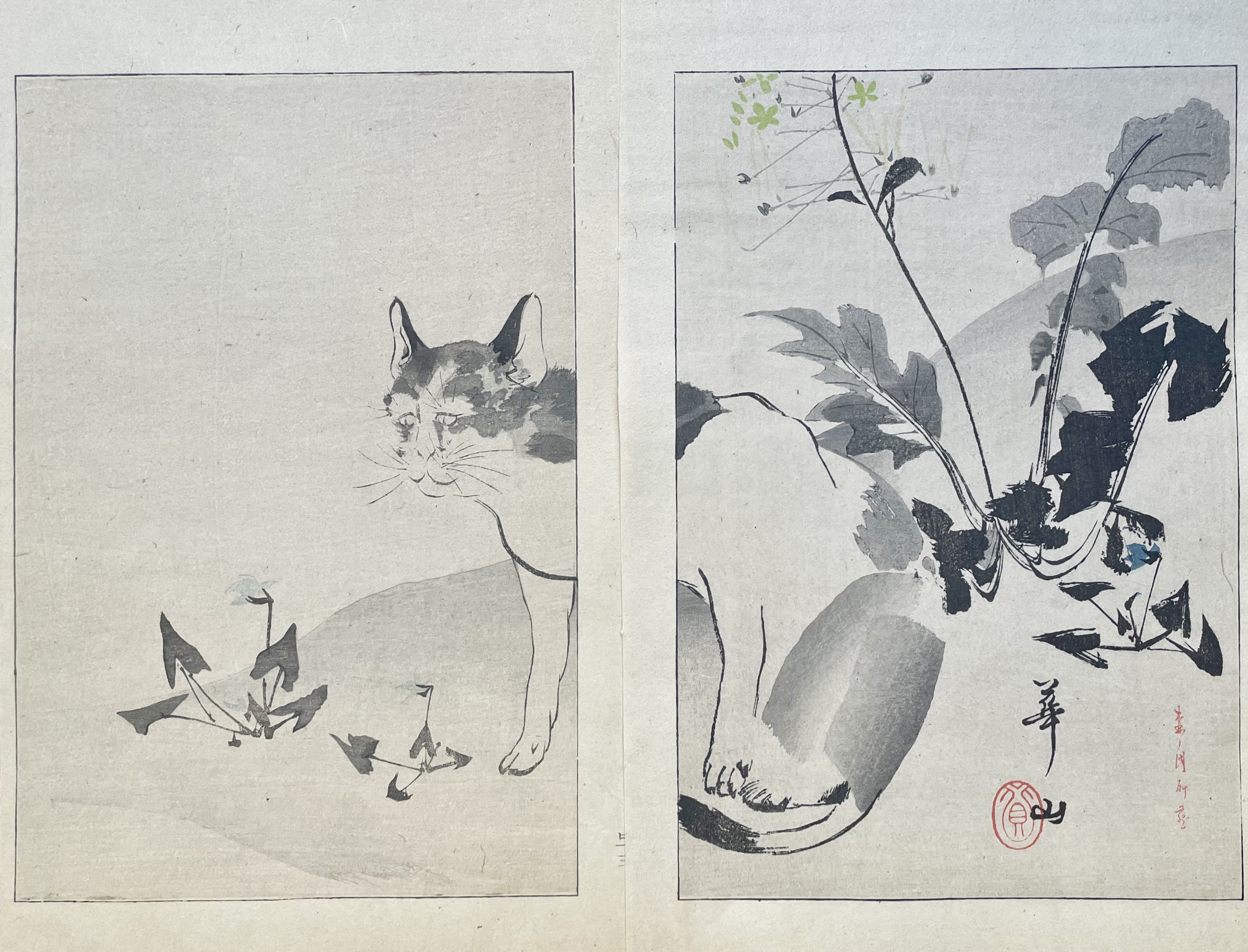 KAZAN Yokoyama (d\'après)