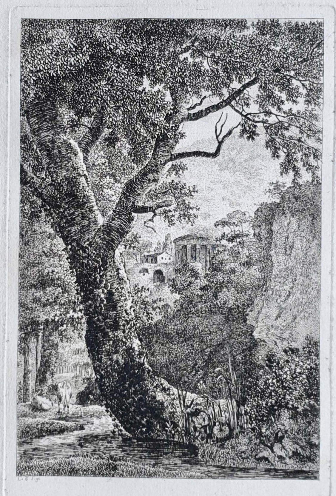 STEINER, Johann Conrad