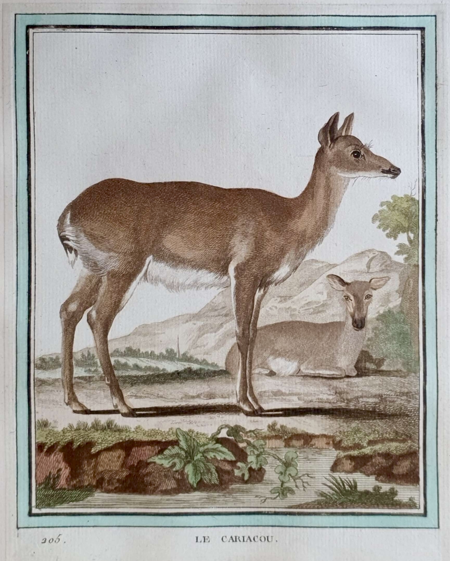 MARTINET, François Nicolas