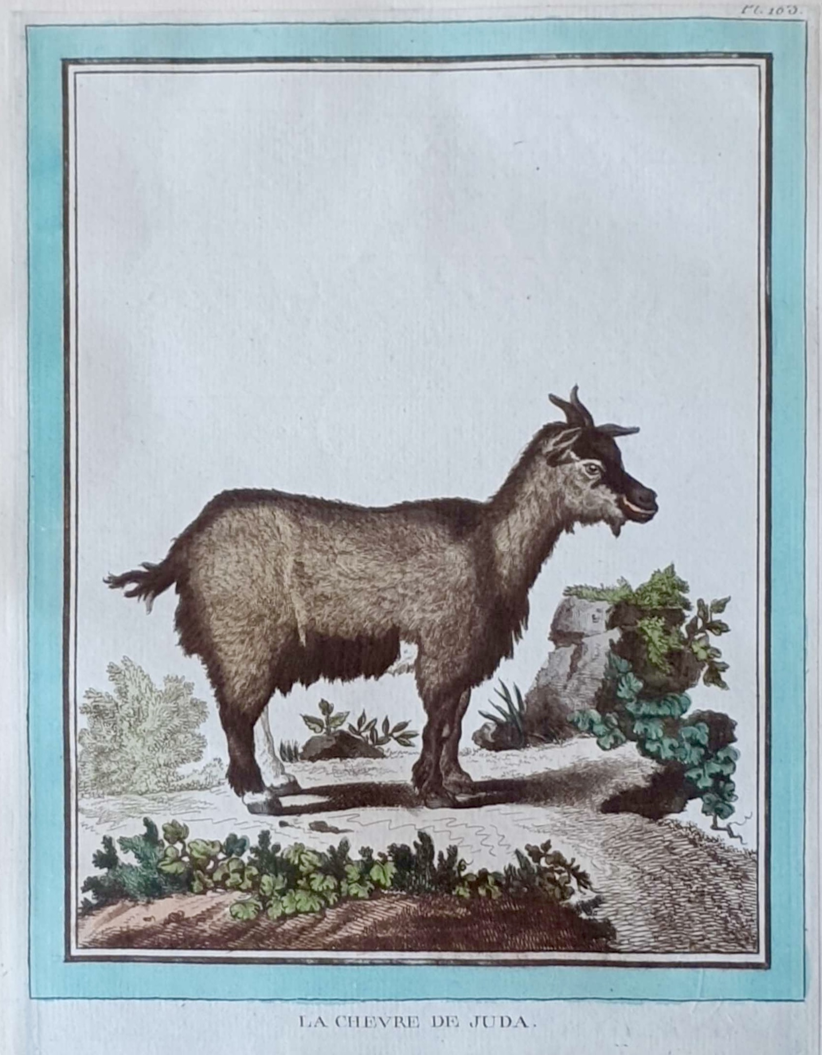 MARTINET, François Nicolas