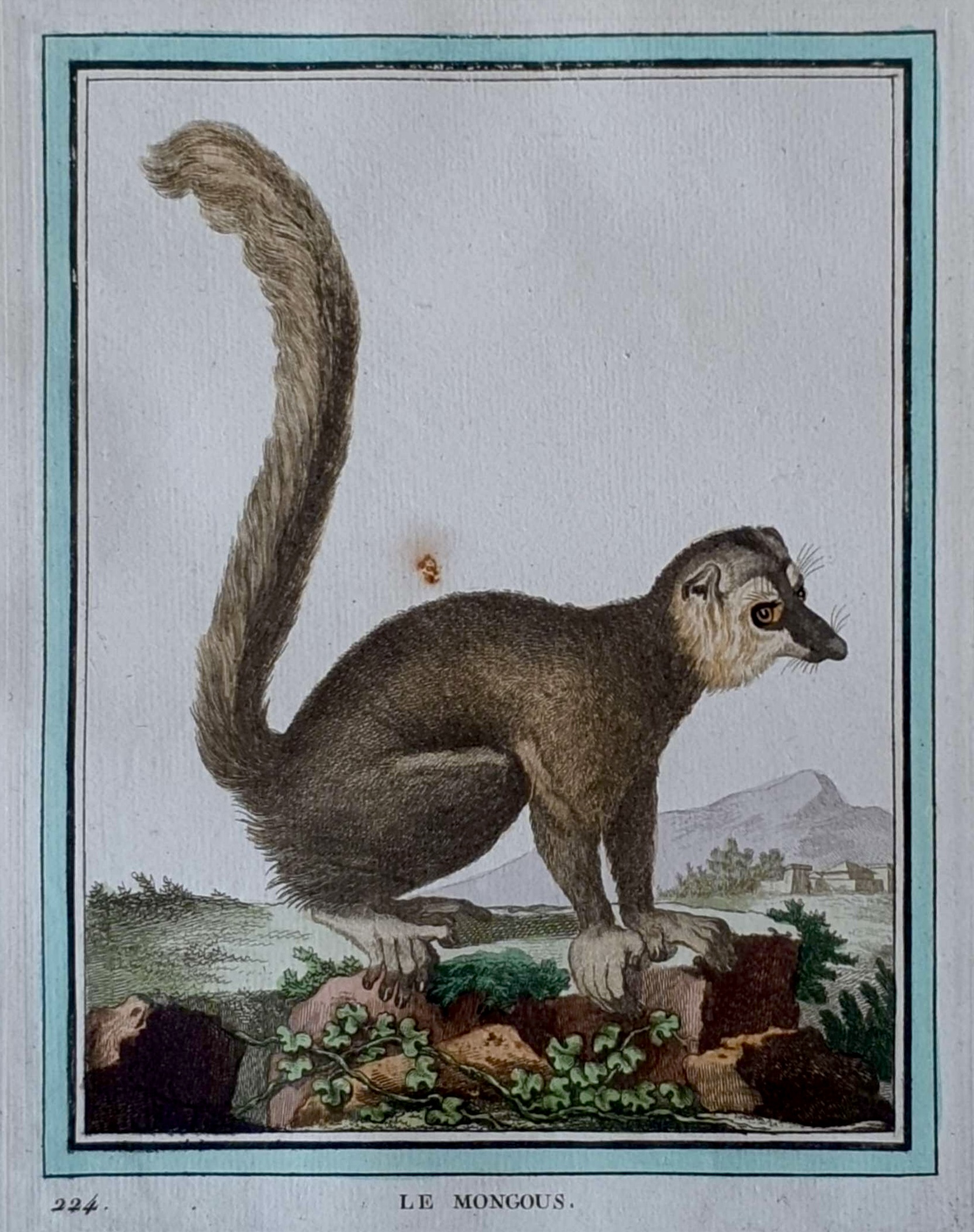 MARTINET, François Nicolas