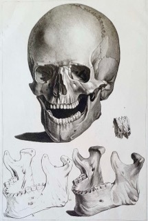 LEPEYTRE, Corinne (Copie)