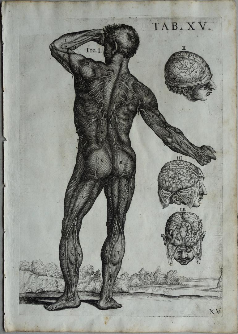 CORTONE Pierre de (d\'apr�s)