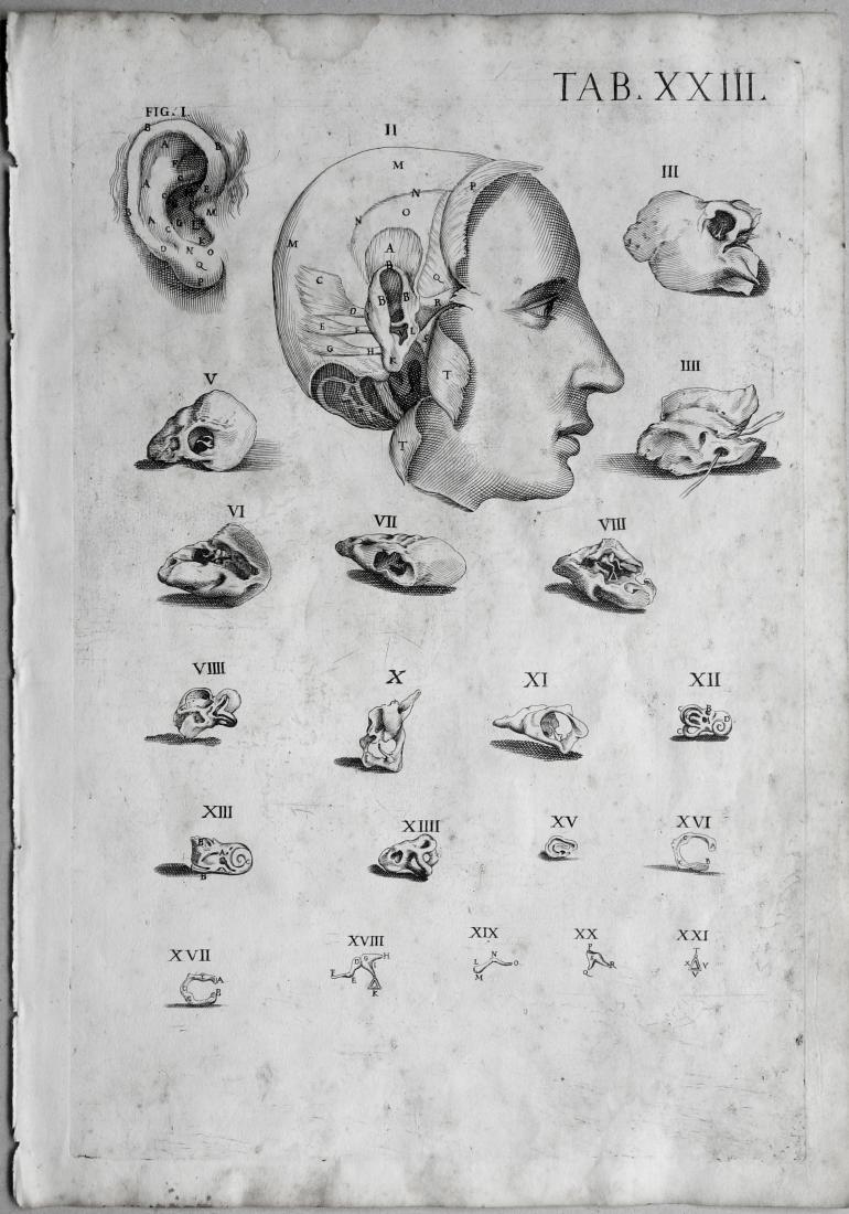 CORTONE Pierre de (d\'apr�s)