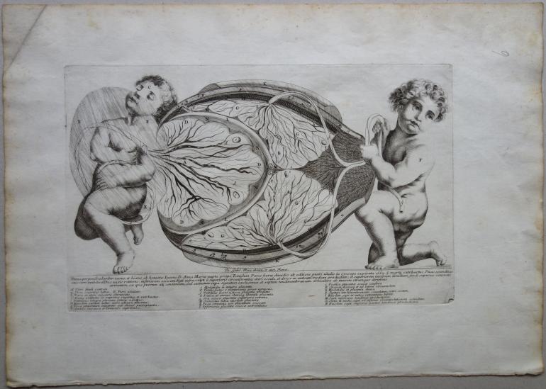 ECOLE ITALIENNE DU XVIIIE SIÈCLE