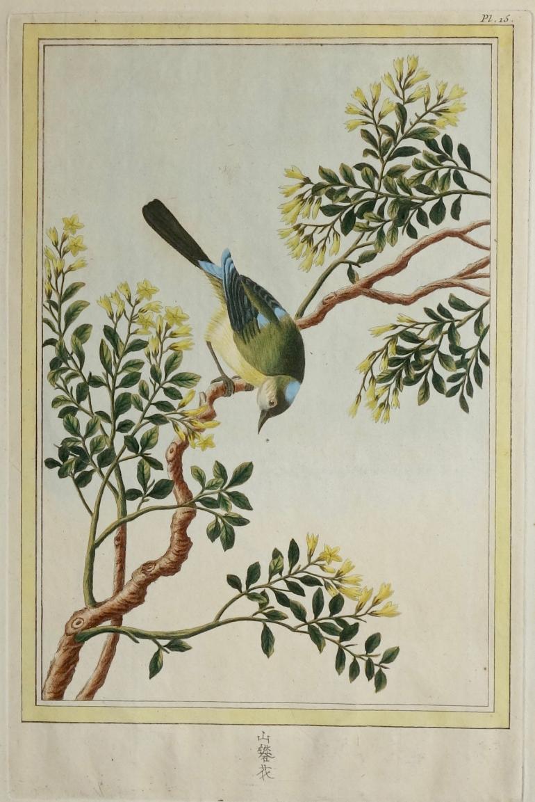 BUC'HOZ Pierre-Joseph