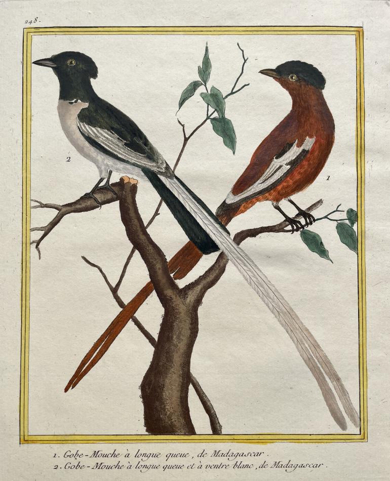 MARTINET Fran�ois Nicolas