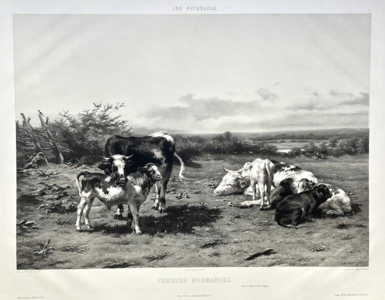 SOULANGE-TEISSIER Louis-Emmanuel