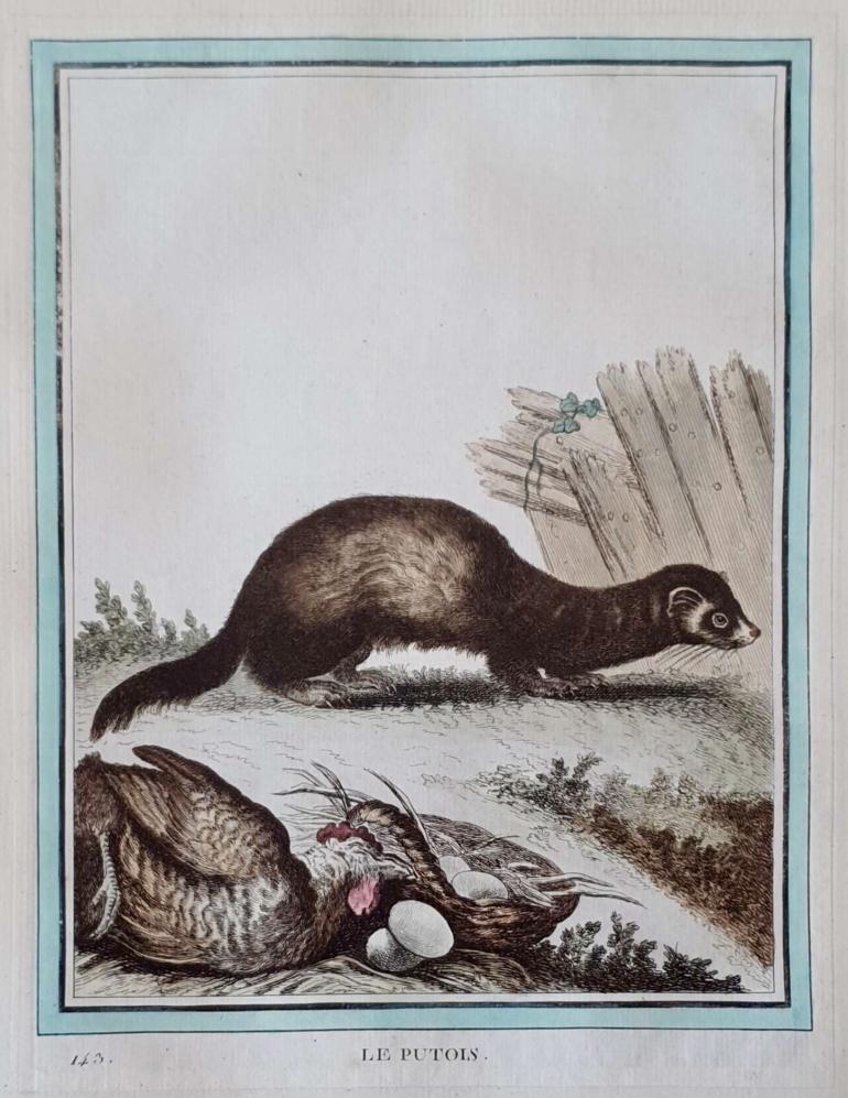 MARTINET, François Nicolas