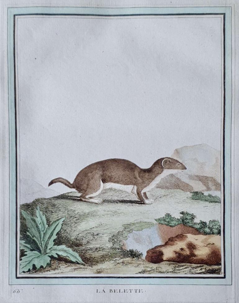 MARTINET, François Nicolas