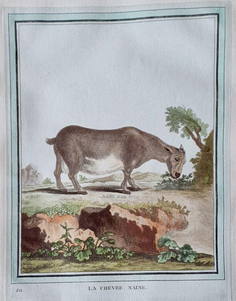 MARTINET, François Nicolas