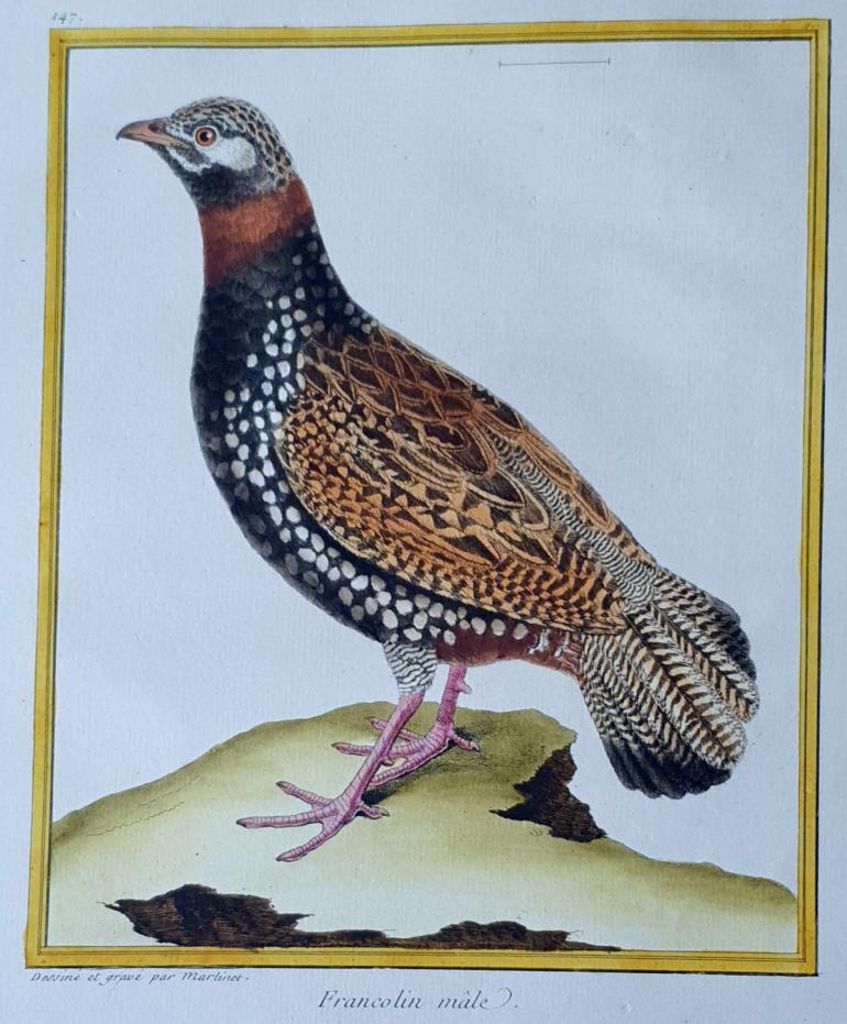 MARTINET, François Nicolas