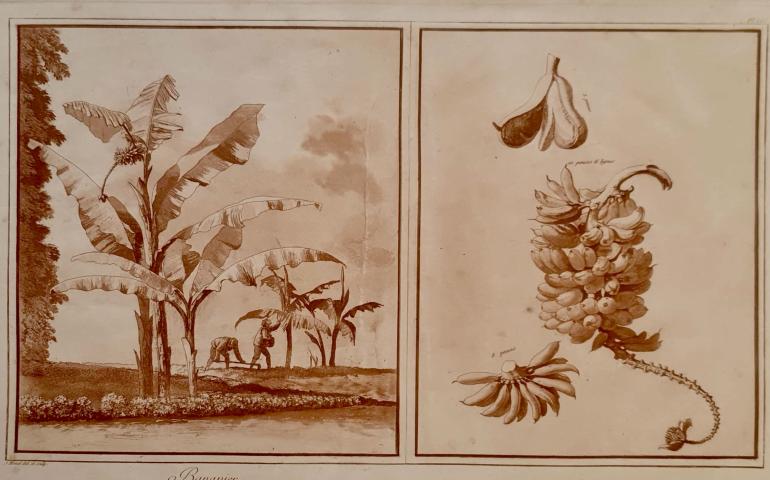 HOUËL Jean Pierre Louis Laurent