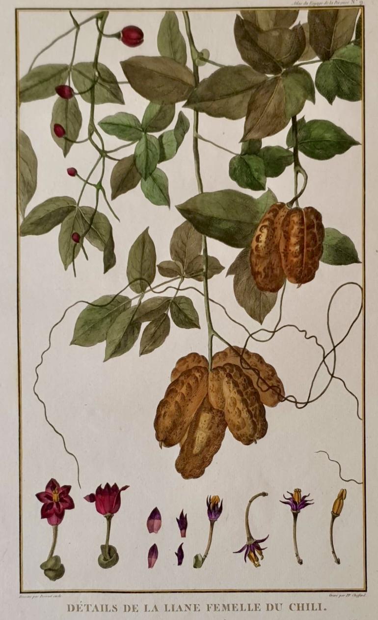 CHOFFARD Pierre-Philippe