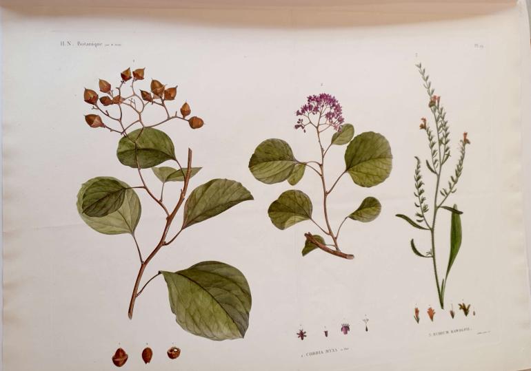 JOMARD Edme-François