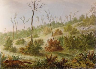 LANGLUMÉ Pierre, imprimeur-lithographe