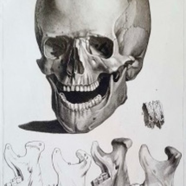 LEPEYTRE, Corinne (Copie)