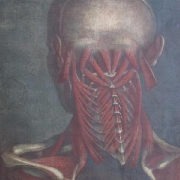 GAUTIER-DAGOTY Jacques Fabien