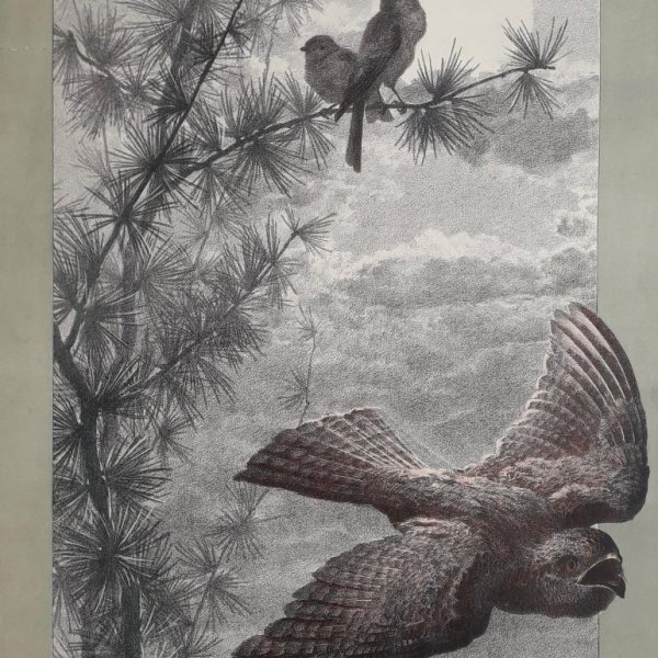 SCHULLER Joseph Carl Paul