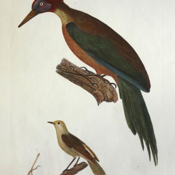 MIGNERET Adrien Jacques Antoine