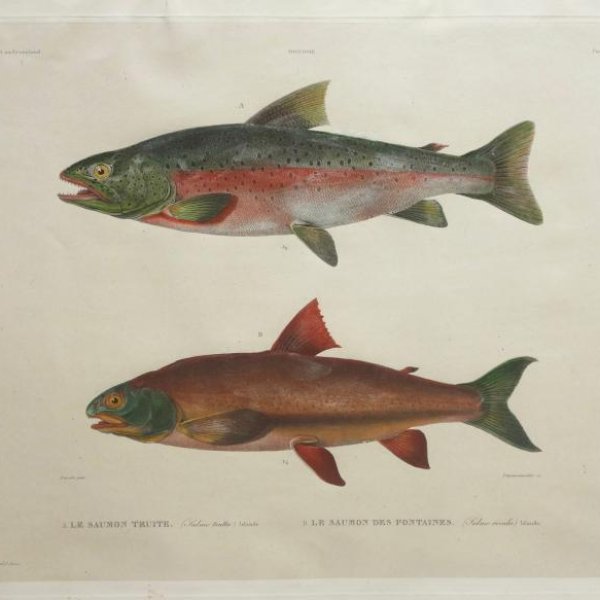 DEQUEVAUVILLER François