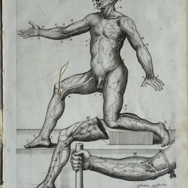 CORTONE Pierre de (d'après)