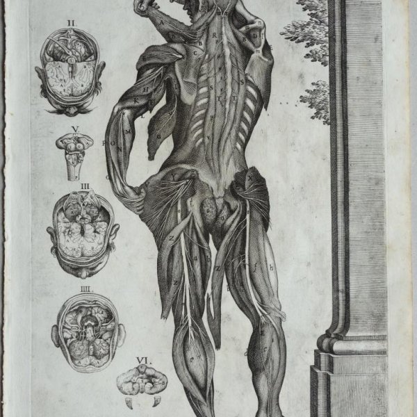 CORTONA Pietro da (after)