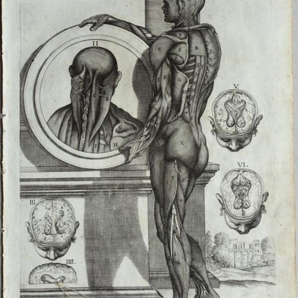 CORTONE Pierre de (d'après)