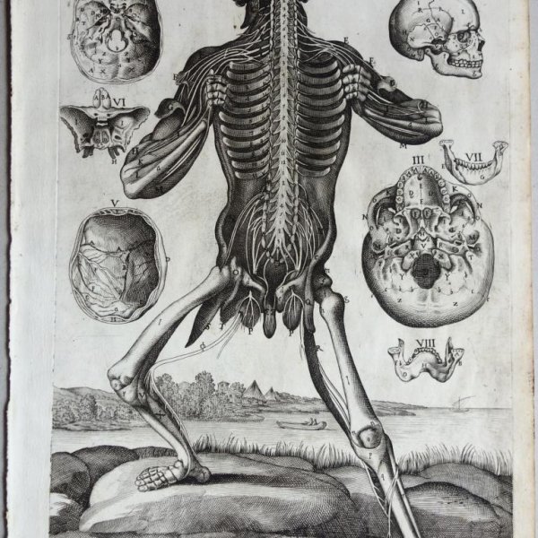 CORTONA Pietro da (after)