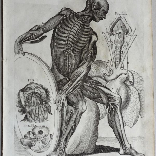 CORTONE Pierre de (d'après)