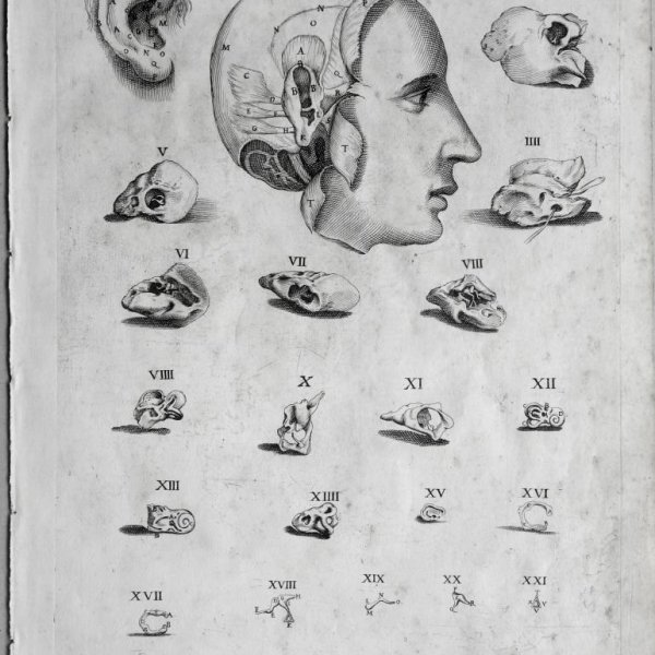 CORTONE Pierre de (d'après)