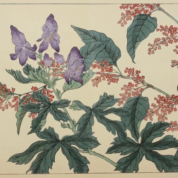 JAPANESE SCHOOL 19th 20th