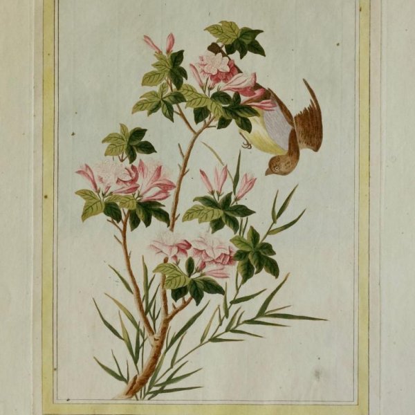 BUC'HOZ Pierre-Joseph