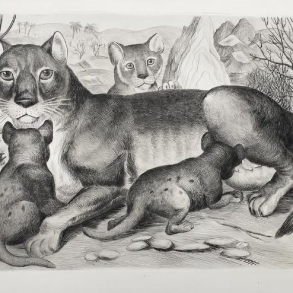 ECOLE FRANÇAISE XXE SIECLE