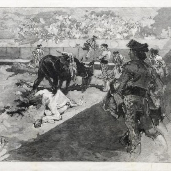 BELLENGER Clément-Edouard