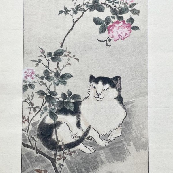 KAZAN Yokoyama  (after)