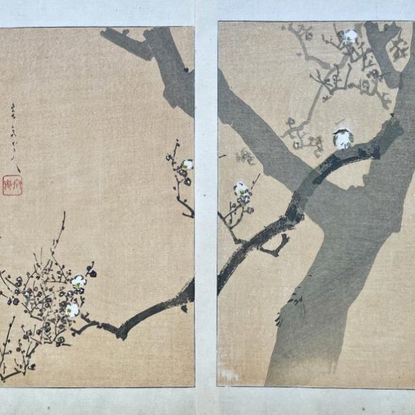 YOSAI Kikuchi (after)