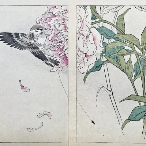 MEIJI JAPANESE SCHOOL