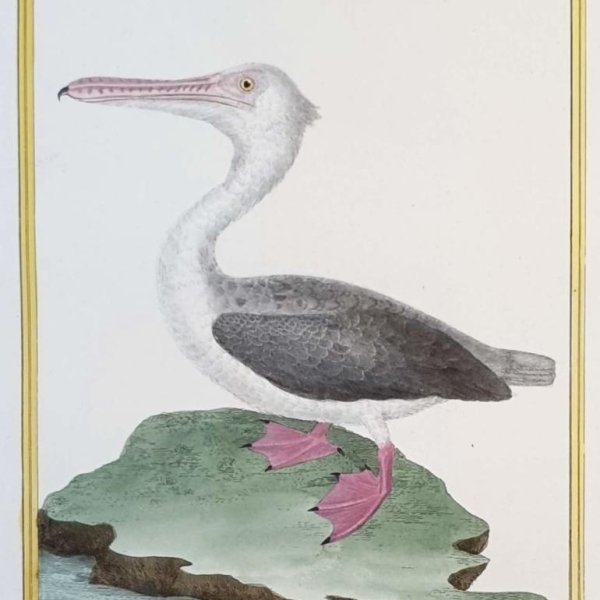 MARTINET, François Nicolas