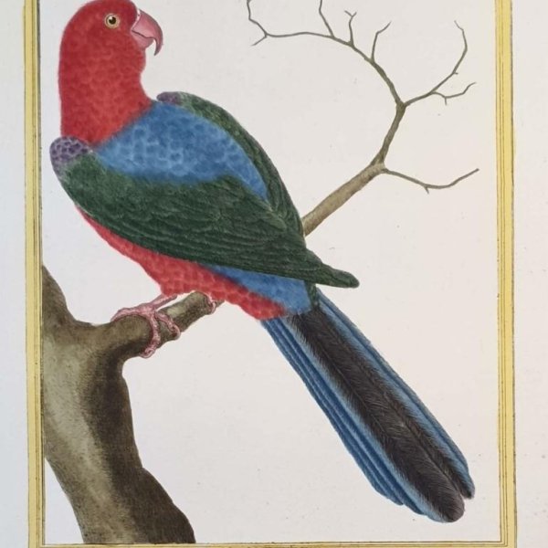 MARTINET, François Nicolas