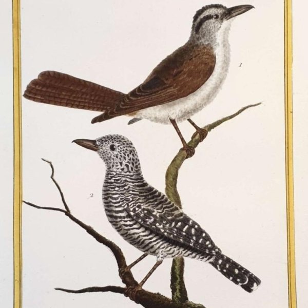 MARTINET, François Nicolas