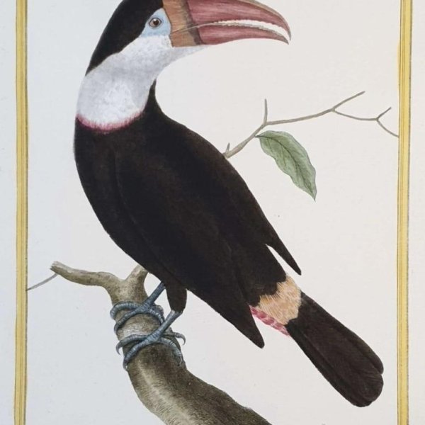 MARTINET, François Nicolas